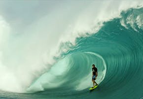 WALLS OF SKULLS: LAURIE TOWNER & WADE GOODALL - TAHITI