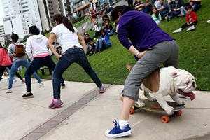 Otto the Dog: World Record