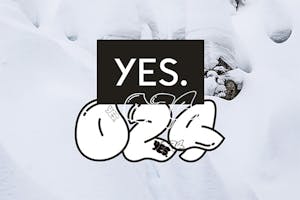 YES. Snowboards 2024