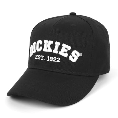 Dickies Origins Curved Peak Snapback Hat - Black