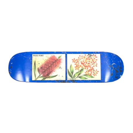 PASS~PORT Tin Floral 8.38” Skateboard Deck - Bottles & Stars
