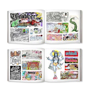 Thrasher Mail Drop Art Book