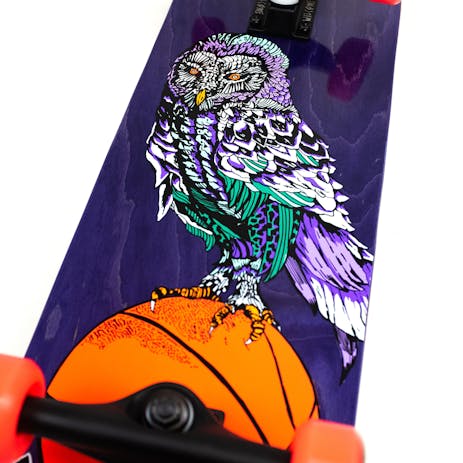 Welcome Hooter Shooter 8.0” Complete Skateboard - Purple
