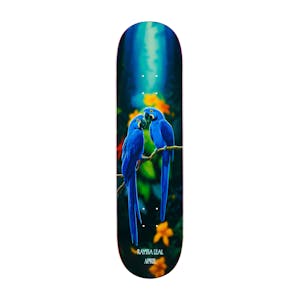 April Blue Macaw 8.25” Skateboard Deck - Rayssa