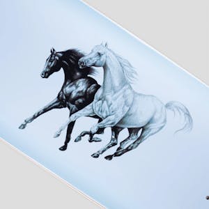 PASS~PORT Horses 8.625” Skateboard Deck - Brumbies [Softie]